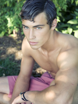 gay blog