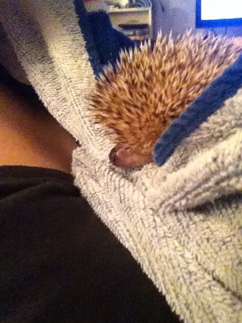 buffy-the-pipe-slayer:  Bath aftermath.