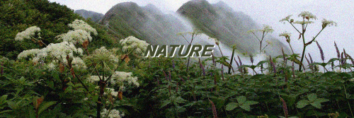 swapacks: ･ﾟ✬Random Headers⊱~･ﾟ☼hope u like it. Follow us for much morelike or reblog this postESPER