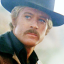 cattle-cowboy