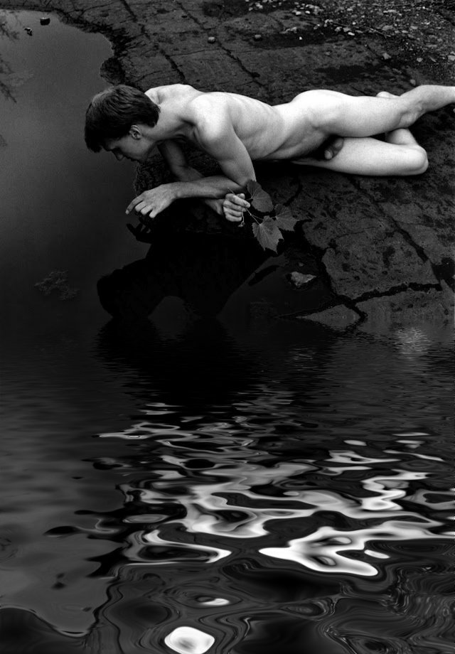 lille-jo:  Narcissus  …