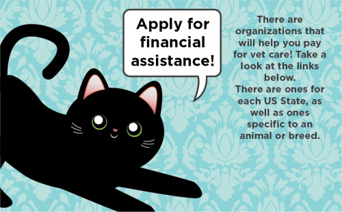 vesperasparx:  thetinytabby:  If you find yourself suddenly needing a TON of money for an emergency vet bill, it can be very stressful! Luckily, there are some things you can do to help your situation. Apply for Care CreditFinancial Resources by US StateY