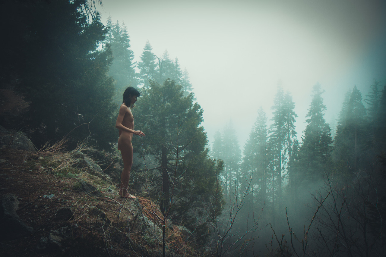openbooks:  “On the Precipice”Michelle in Sequoia National Park, CA. March 2015.
