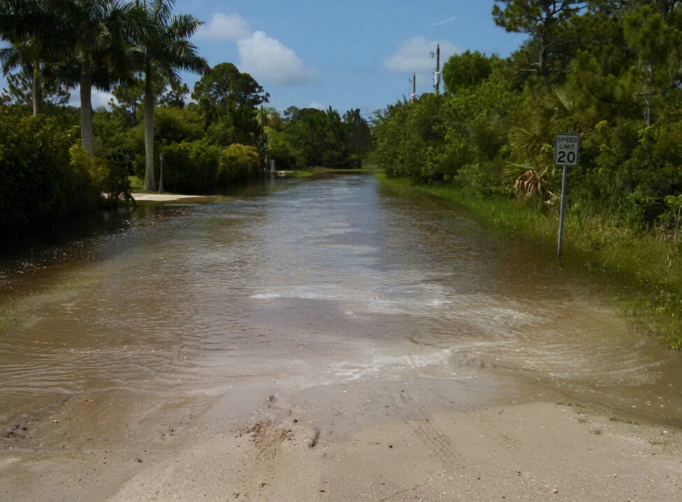 <p>This is our “road” today.</p>

<p>It has rained.</p>

<p>Nonstop.</p>

<p>All. </p>

<p>Friggin’.</p>

<p>Week.</p>

<p>I am going to have to either kayak or swim to get the mail…and the trash???</p>

<p>Forget about it.</p>