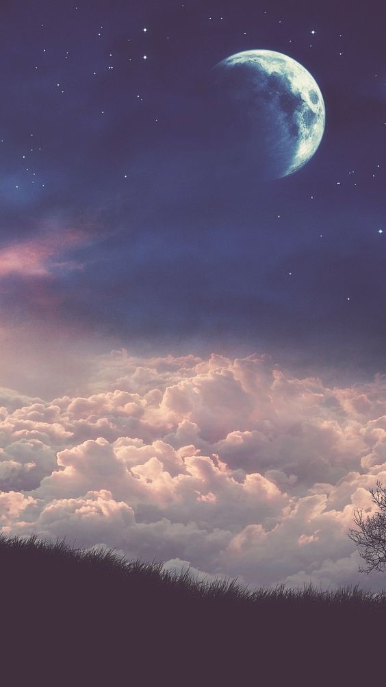 trasemc:  The beauty in the sky