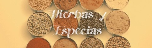 thatwordofmine:la hierba: herbsla especia: spice el ajo: garlicla albahaca: basillas alcaparras: c