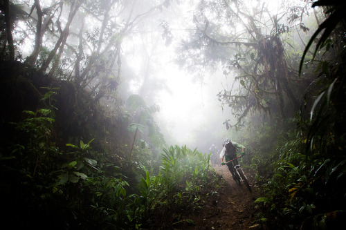 coletassoft: Rainforest Riding by Dan Barham - bit.ly/PSA1az