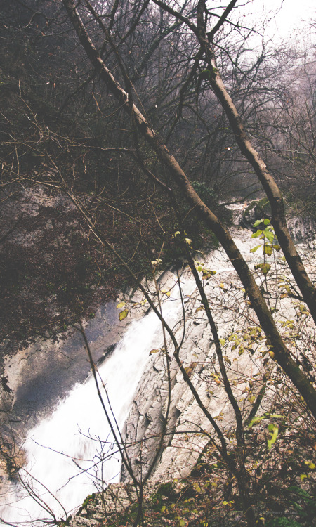 harryschuler:  EF 0138 S.LuganoFB | IG 