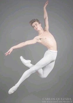 Ballet Men Fan