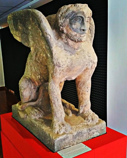 giuseppeciaramella:#antiquarium #boscoreale #pompeii #sphynx #art #archeology www.instagram.