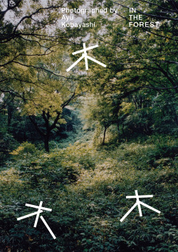 motoishito: Art Direction | Design : Motoi ShitoPhotographer : Ayu Kobayashi Art Work of “IN THE FOREST” 