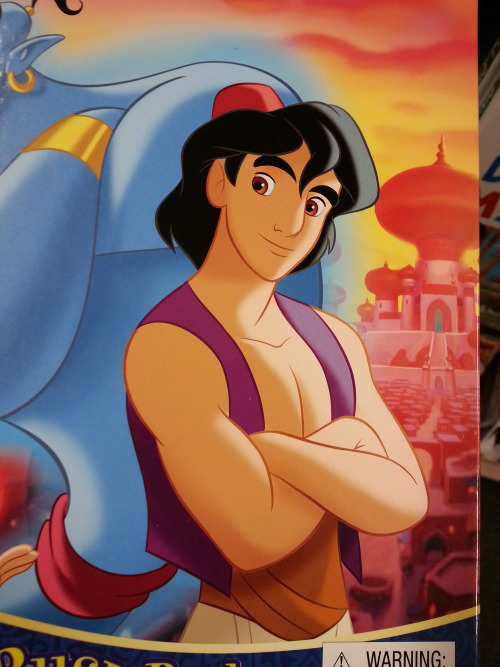 More Aladdin and Jasmine pictures!