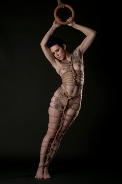 Somethingforaraineyday:  Shaulust:  Recent Work In The Studio Together With Rope