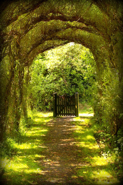 cleolinda:  allthingseurope:  Llanelli, Wales (by ilovebagpuss)  I’d like to think that going through the gate takes you to somewhere different than going around it. 