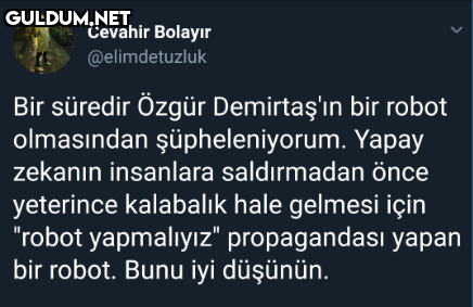 Cevahir Bolayır...