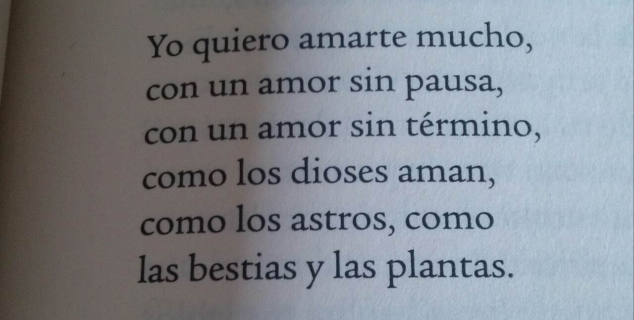 compartiendo-libros:  He soñado contigo, Susana March.