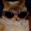 manhatingcatlover