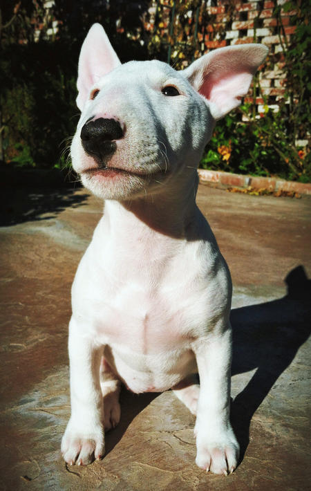 shutinriverblues:  She is call Moo, oh my god. 