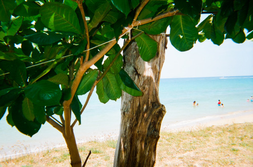Check out more photos from disposable cameras!ThroughWHOSE Project