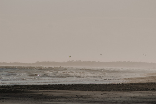 rootlessly:folly beach ⋇ 2016 february