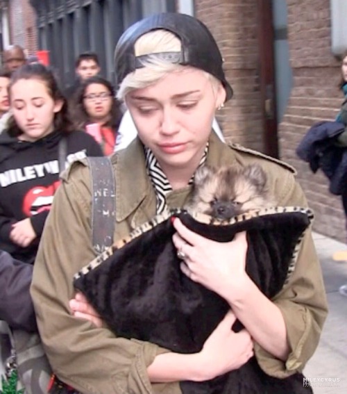 -radiatemileyray:chanel-cyrus: I hate the fact that if a normal person was crying along the street p