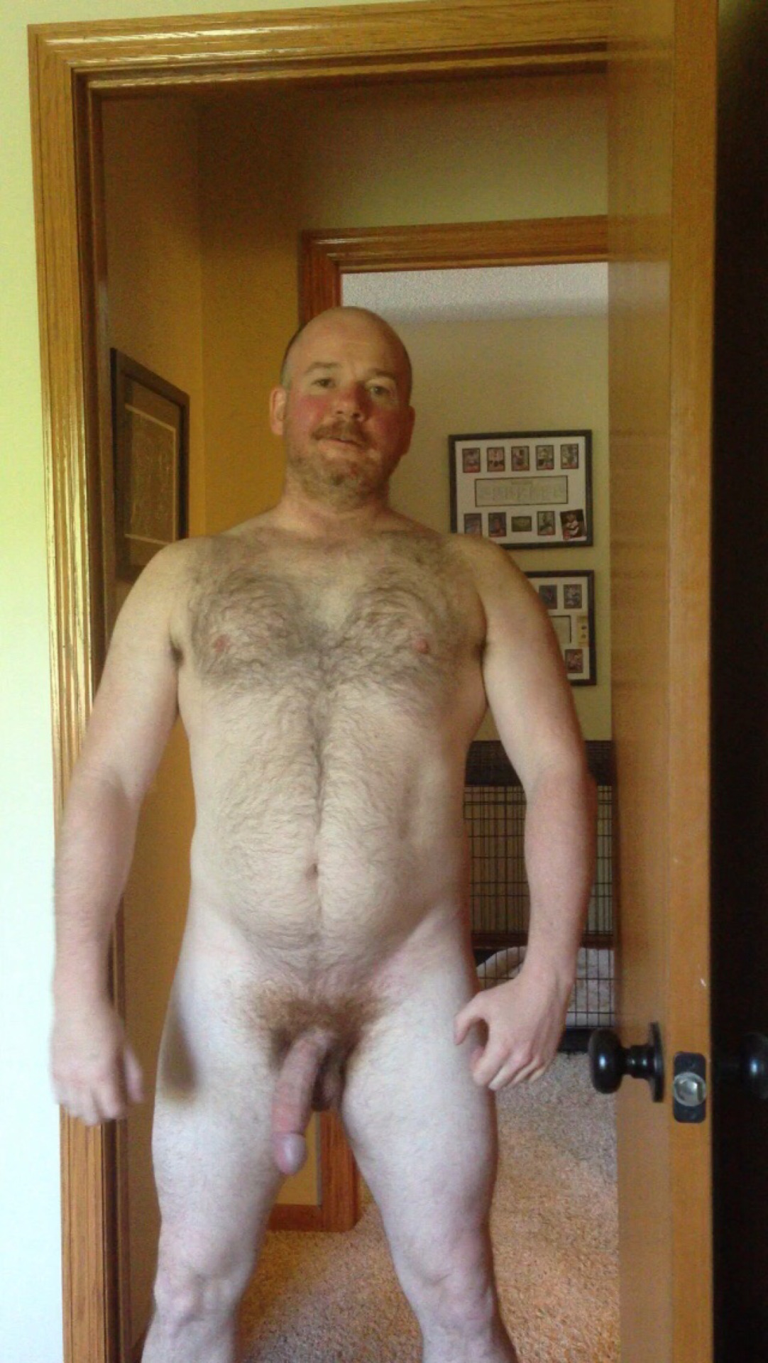 Cubby's Bears