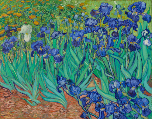 artschoolglasses: Irises, Vincent Van Gogh, 1889