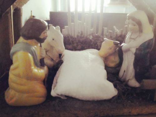 Mi pequeño nacimiento esperando la llegada del niño Jesus#paz#amor#love#christmas#venezuela#union#