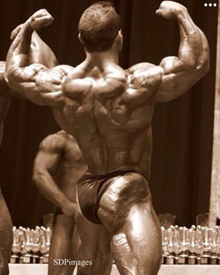 Shawn Smith