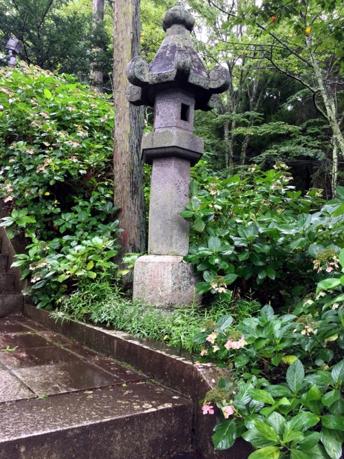 kobalt:Tenjoyamagoku Shrine, Kawaguchikophotos by Kobalt