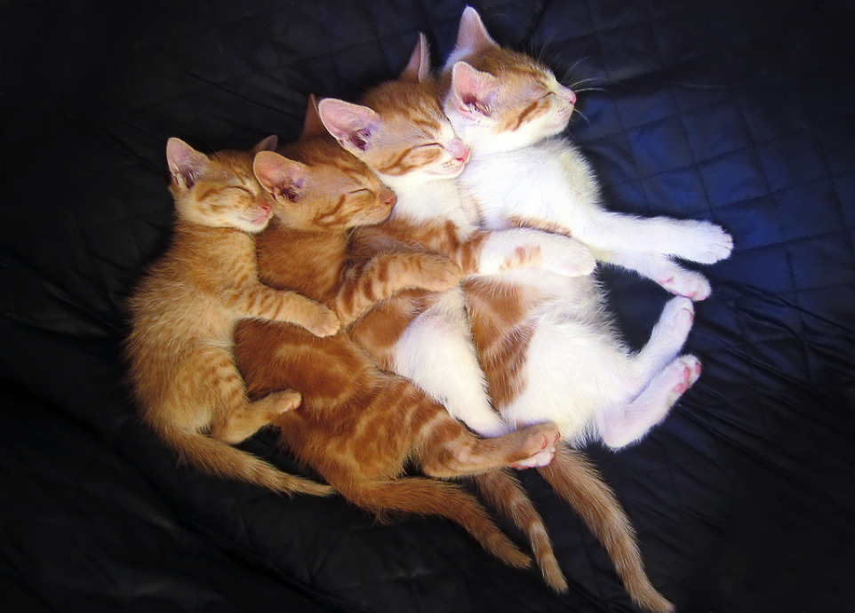 awkwardsituationist:  happy national hug day. seriously, it’s a thing. and it’s