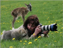 awwww-cute:“Whatcha doin’ lady?”