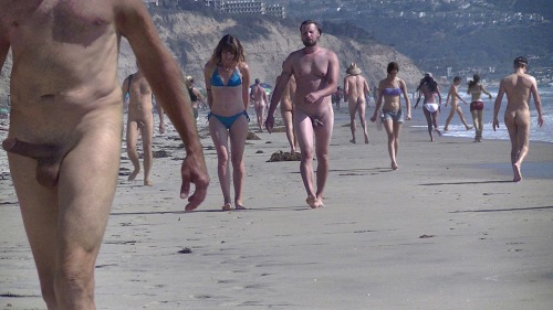 Erection on nude beach