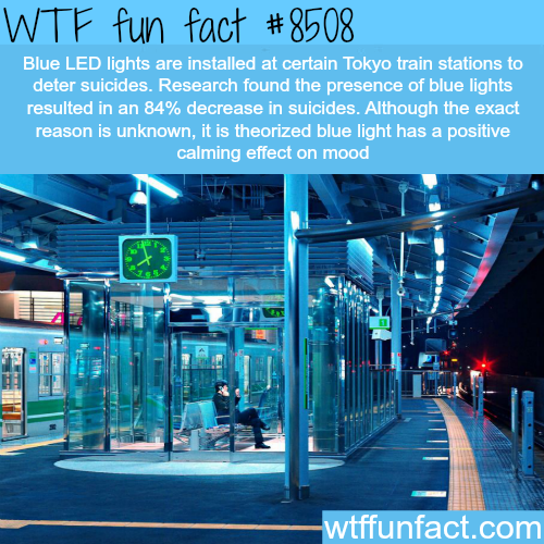 How Tokyo Train Stations Decreased Suicide Rates - WTF Fun Facts