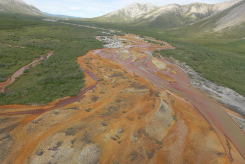 americangeophysicalunion: Greetings from the Alaskan Arctic! We are sampling iron rich soil waters a