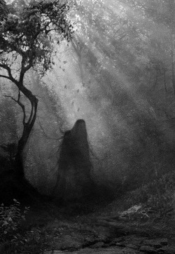 Salem Ghostwolf