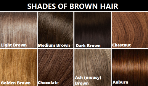 the-lady-of-reichenbach:smaugnussen:goddessofsax:Hair color reference chart. It’s not perfect, but f