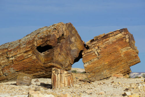 Bosques Petrificados de Jaramillo National Park, Argentina The petrified tree forest was a really sp