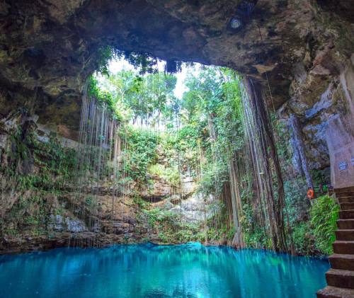 acai-lagoon:  sunshine-tribes:  message me a ☼ to check out your blog   ACAI-LAGOON the lagoon of pe
