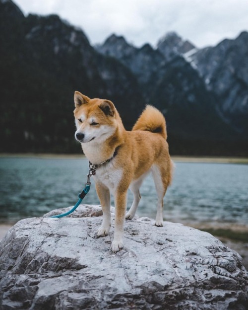 midogka:South tyrol is a beautiful place to life ❤️ shot by @philippmitt #holiday(hier: South Tyrol)