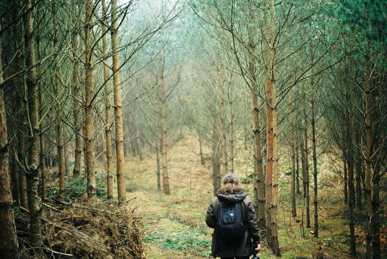 zarianka: some greens  and blues. 