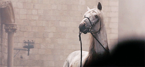 natalieedormer:Game of Thrones employs a strong sense of symbolism in this scene. Arya is riding off
