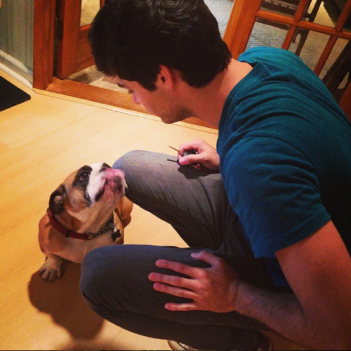 stutteringalec: Actual Disney Princess Matthew Daddario: Matthew + Animals