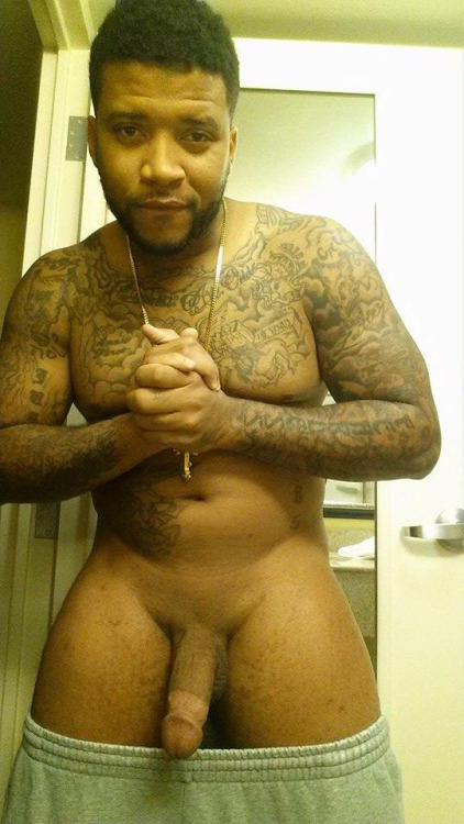 THE JUICY LATIN COCKS