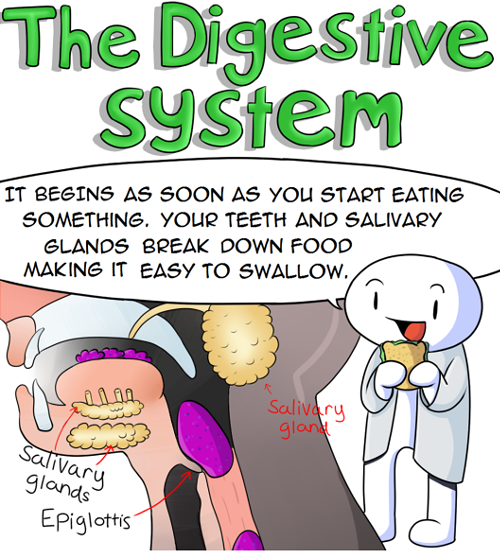theodd1sout:  Trust me, I have a lab coat.   Full Image Facebook Twitter    