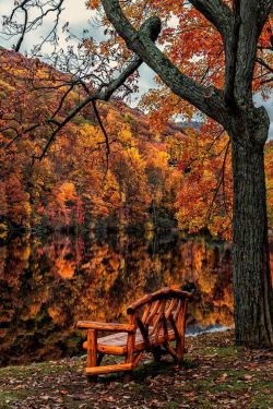 bluepueblo:  Autumn Lake Bench, Upstate New