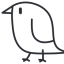 pardalote