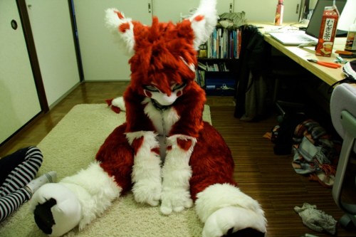 datdonk:  coyoteaverage:  Japanese fursuits are best fursuits :3  I want to hug and kiss them forever~  I love them <3