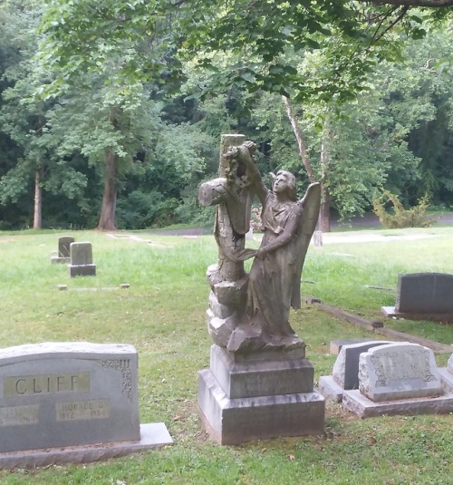 ashevillecemeteries:Riverside Cemetery - Asheville, NC