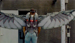 mshopevandyne:    Marvel Cinematic Universe Meme: [ 2/2 avengers ] Sam Wilson/Falcon